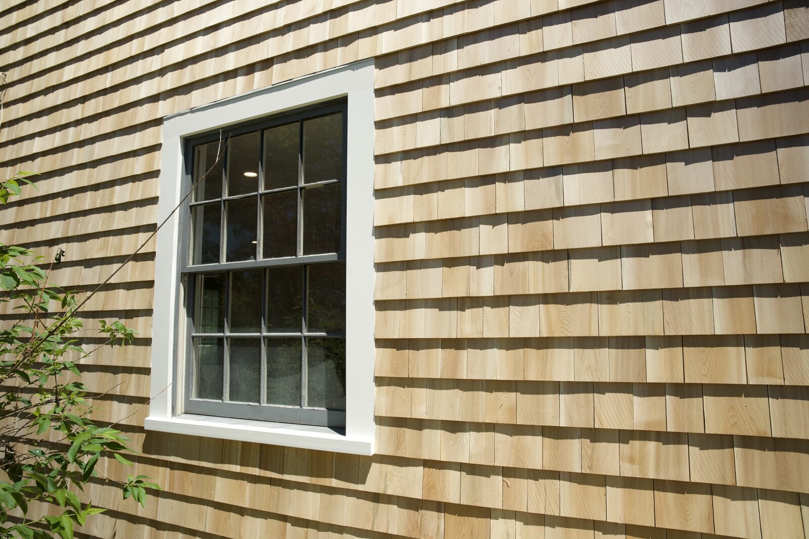 Siding photo 21