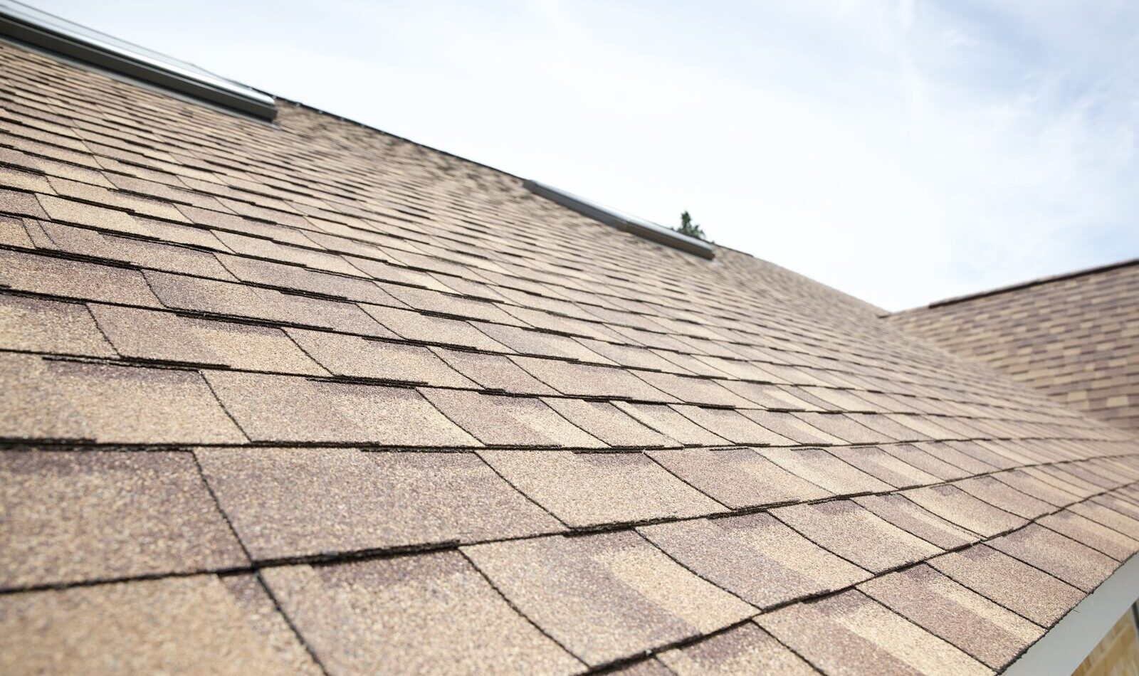 How Cape Cod and South Shore's Coastal Climate Affects Your Roof